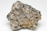 Cerussite Crystals on Galena - Morocco #213572-1